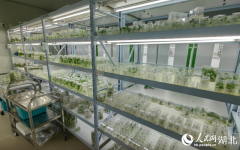 <b>通过贸易卫星、无人传感器</b>